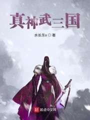 真神武三国